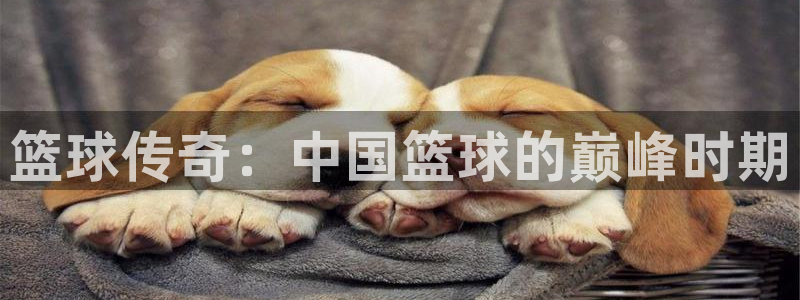 飞速体育爱足球的谢宇宁：篮球传奇：中国篮球的巅峰时期
