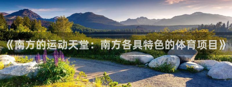 飞速体育买鞋