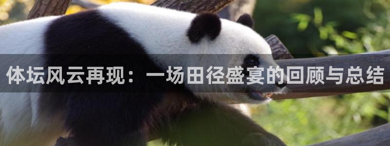 飞速体育直播下载