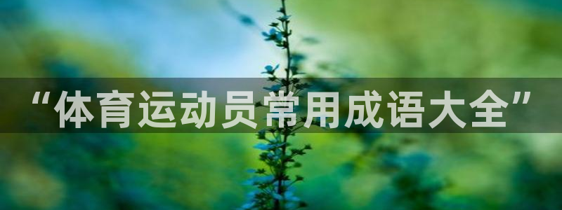 飞速体育网店直播