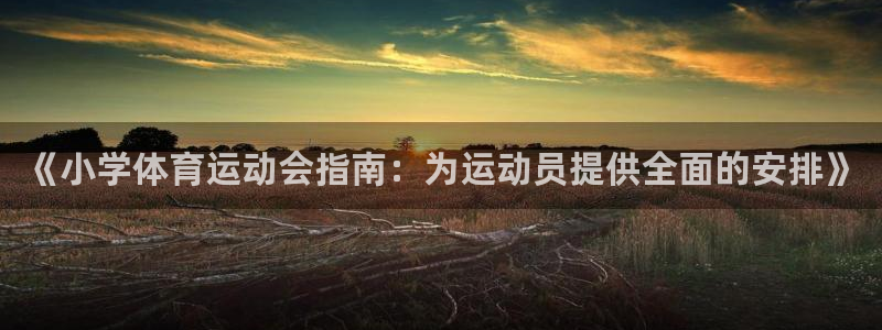 飞速体育app官网入口下载