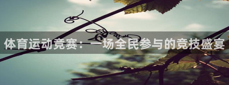 飞速体育直播nba直播