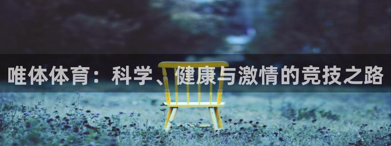 飞速体育买鞋