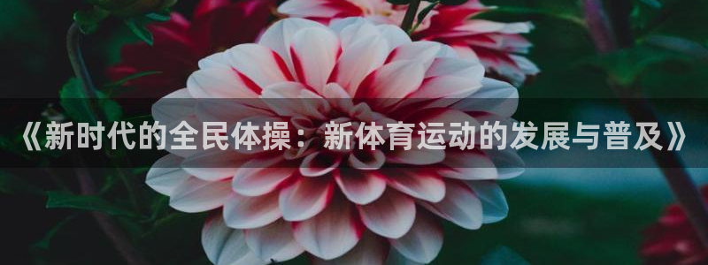 飞速体育app官方版