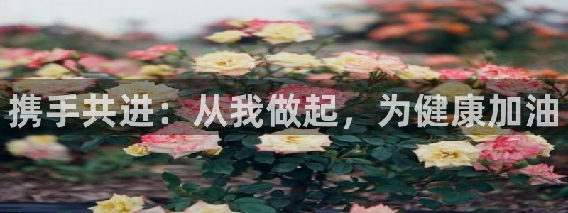 飞速体育jrs直播在线观看：携手共进：从我做起，为健康加油