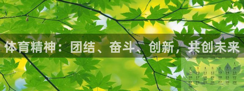 关键词：体育精神：团结、奋斗、创新，共创未来